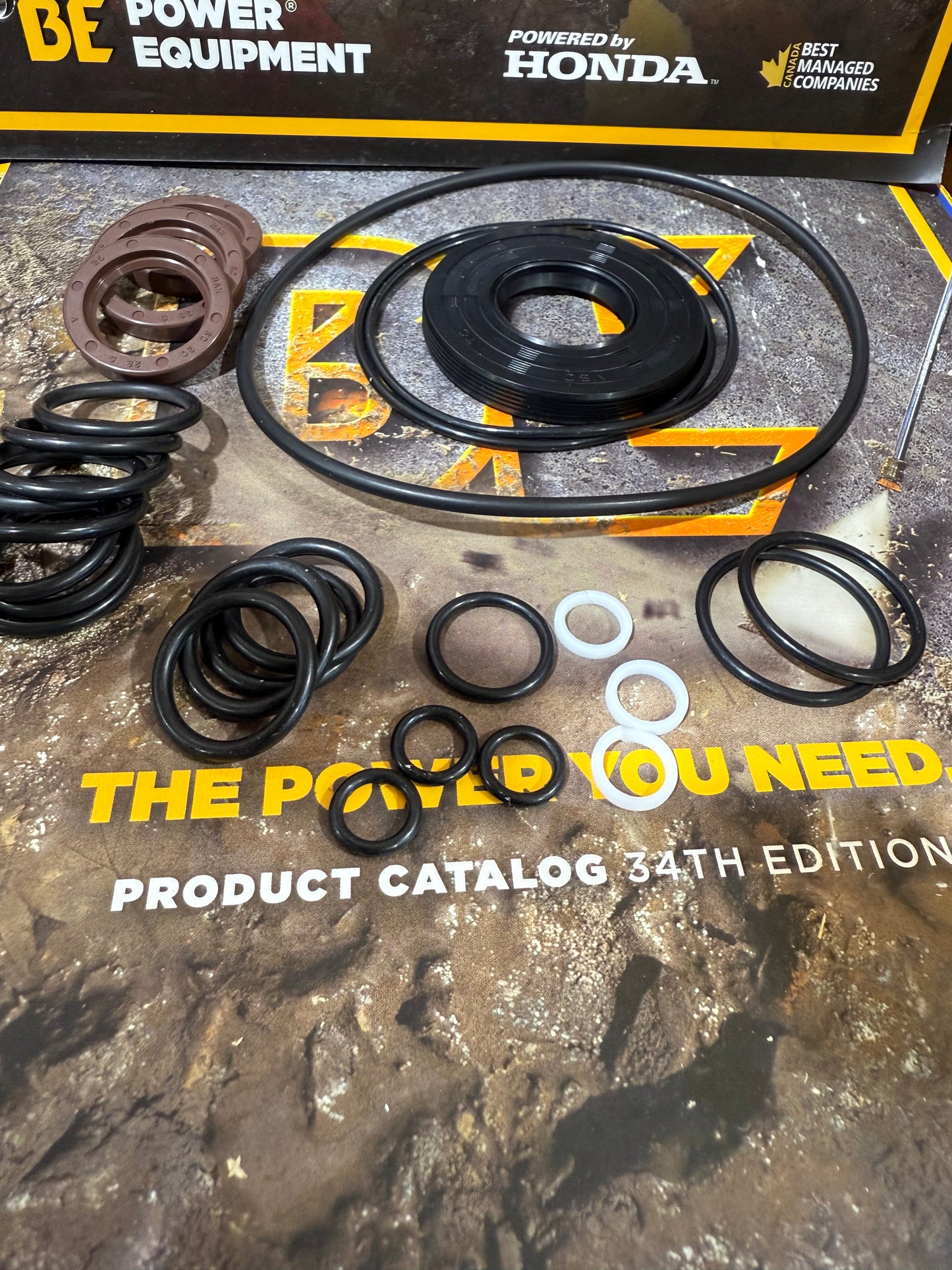 Comet Oil Seal Kit 5019.0219.00 – Fits FW Series Pumps