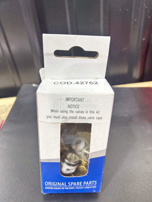 Kit 42762 Check valves with caps