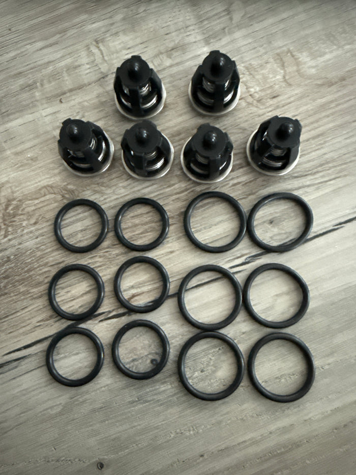 Comet Check Valves FW2-RW