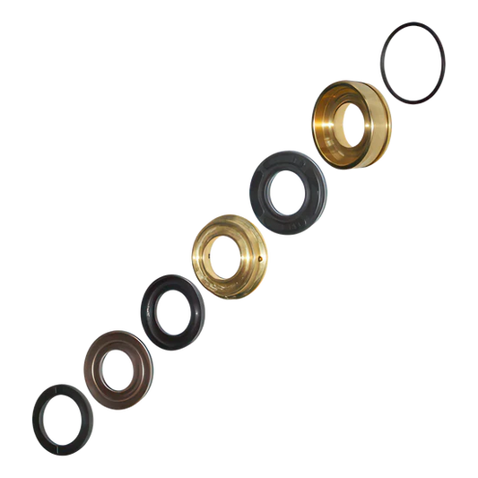 Kit 173 Seal Kit for General Pump